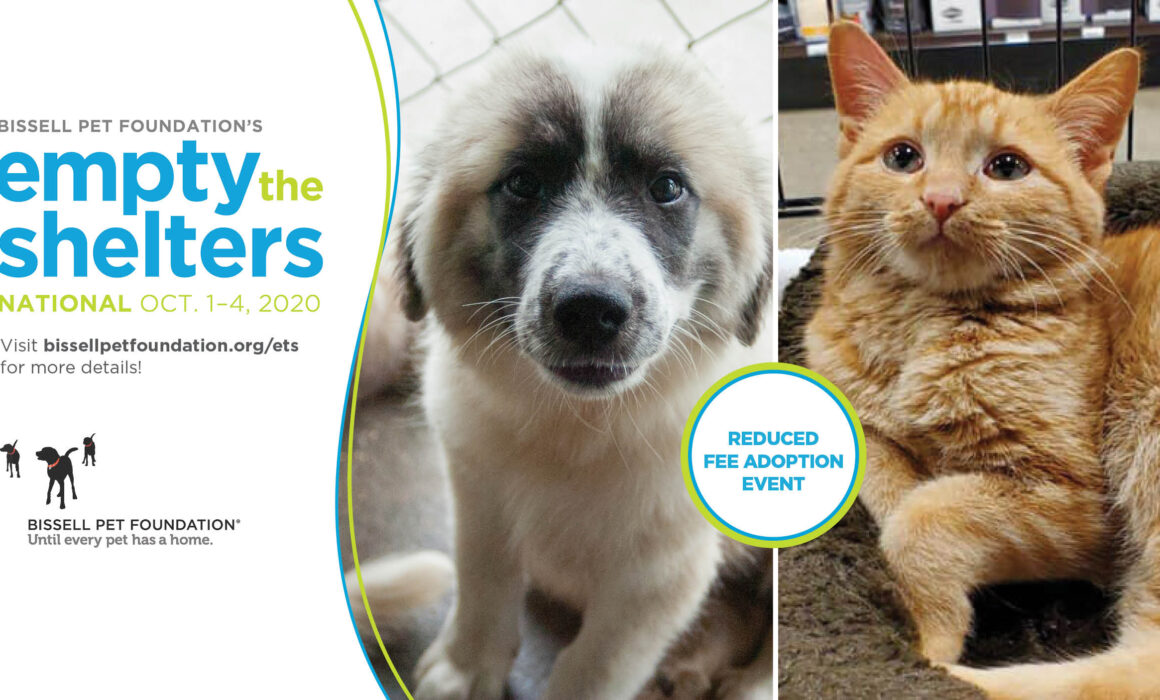Home - Greene County Humane Society