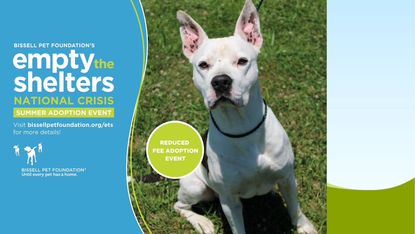 Home - Greene County Humane Society